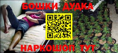 индика Кимры