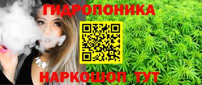герыч Кингисепп
