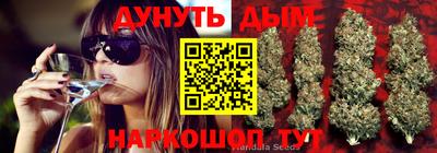 индика Кинель