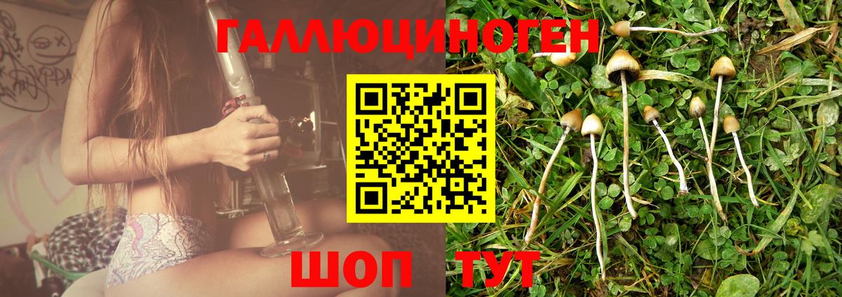 Галлюциногенные грибы мухоморы  купить наркотик  Королёв  Вход с VPN 